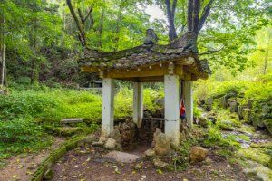 신약수(가리골약수)