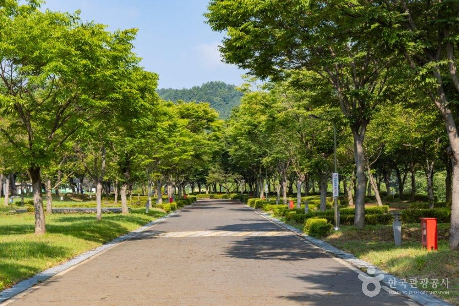 금산인삼골오토캠핑장
