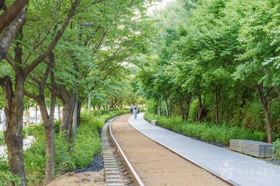 서울_노원구_경춘선숲길 (3).jpg