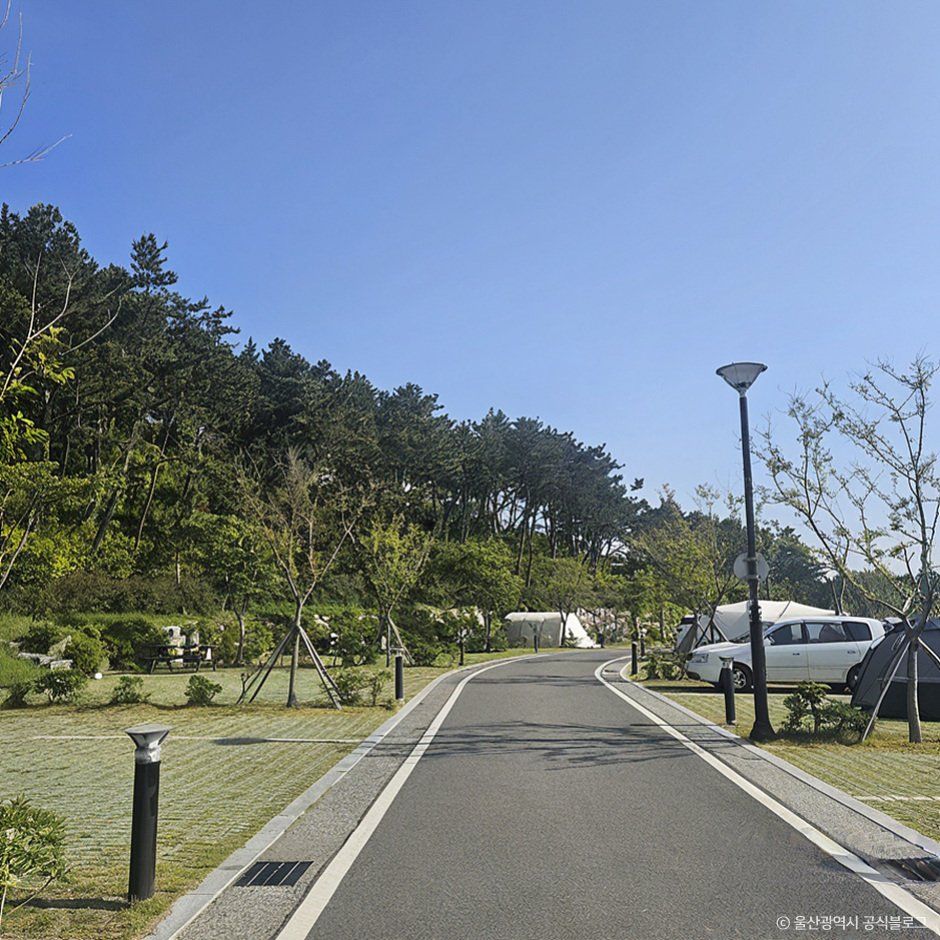 大王岩公園オートキャンプ場