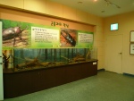 대전 대청호자연생태관 (1)