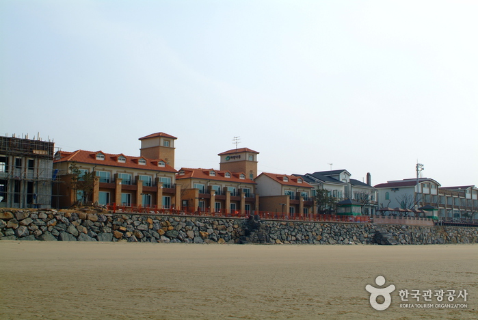 신두리해수욕장 신두리해수욕장