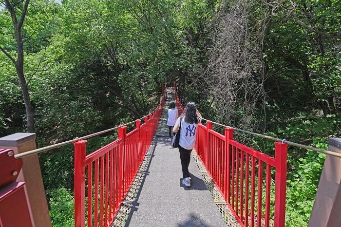 Shwija Park Suspension Bridge