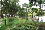 송림공원 (5)