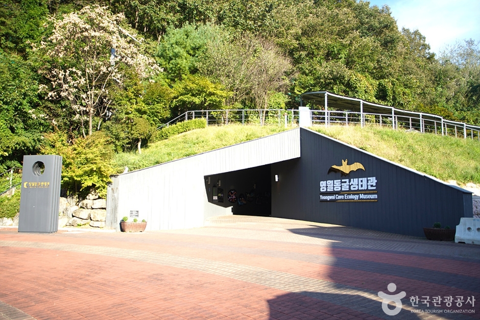 寧越洞窟生態館