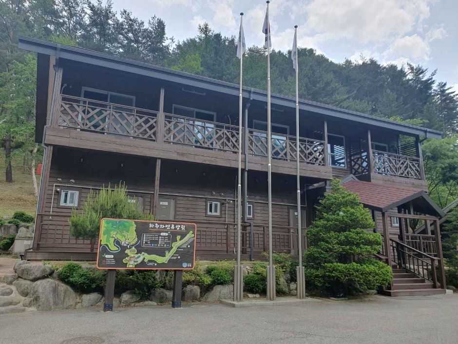 夏秋自然休养林