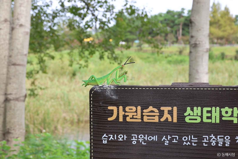 嘉園湿地生態自然公園
