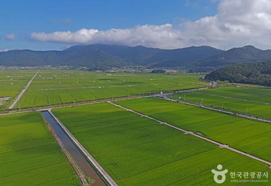 正岛村