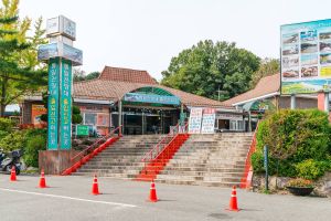 [DMZ 평화의 길] 통일전망대 코스