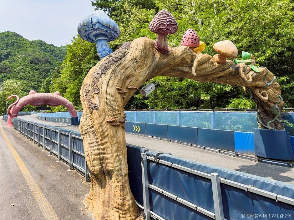 횡성루지체험장