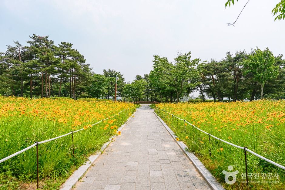 서호공원