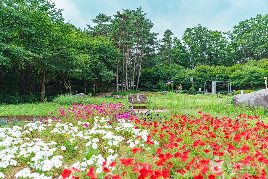 直洞邻里公园