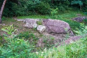 영일 칠포리 암각화군