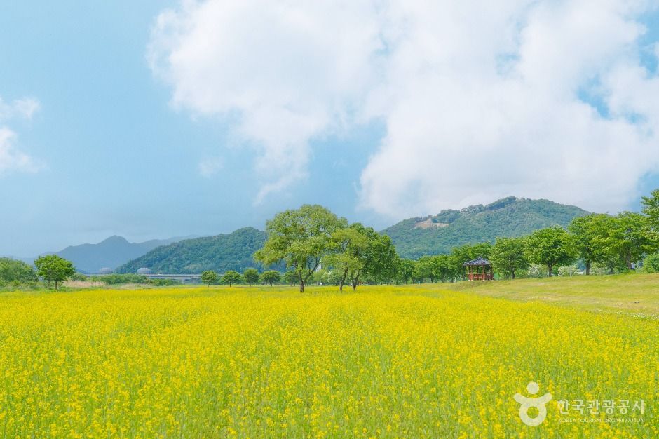 唐南里島 (大新島)