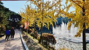  2025 청남대 가을축제 6