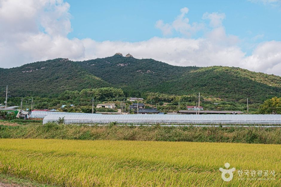 Haenam Kimchi Village