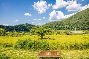 충청도양반길 2코스 사진 6