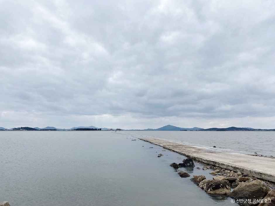 신안_[증도 모실길 2코스] 갯벌공원길 (4).jpg
