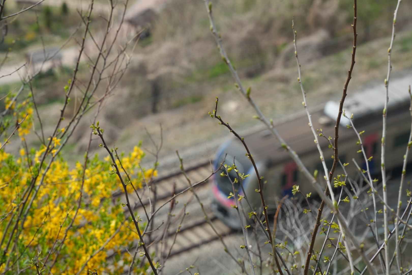 山頂へと続く鷹峰山散策路からは眼下に走る電車