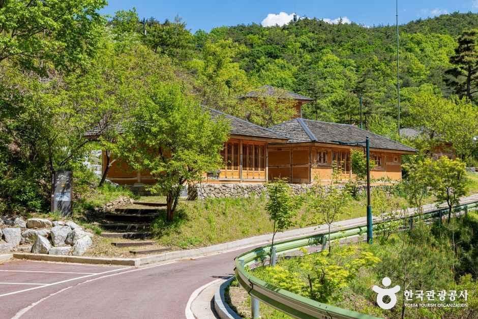 속리산 숲체험휴양마을 - 충청북도 보은군 속리산면 속리산로 596 관광 명소