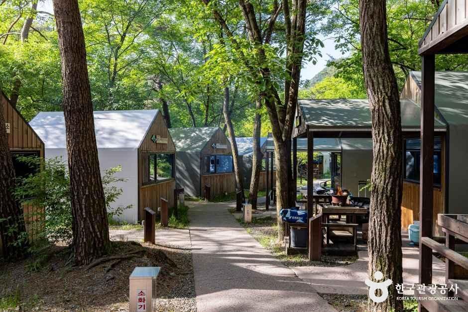 월악산국립공원 닷돈재야영장