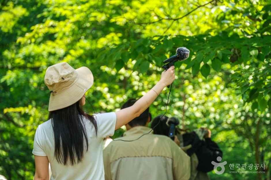 Sound Walking Program