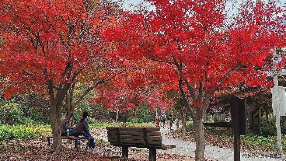 대둔산도립공원(논산)