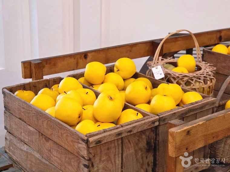 羅州梨博物館（나주배박물관）