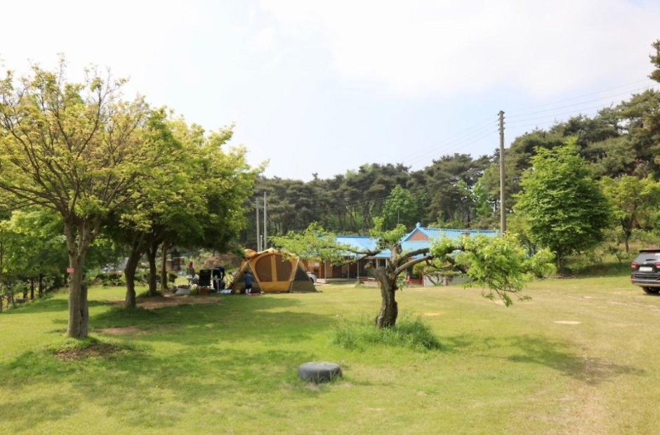 진경원민박캠핑장