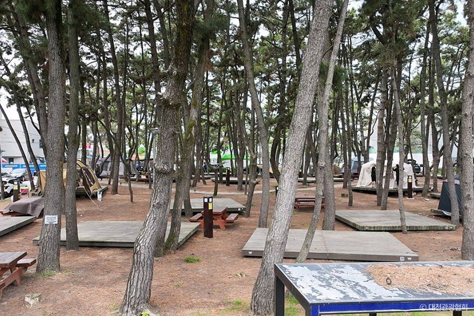 대천해수욕장캠핑장