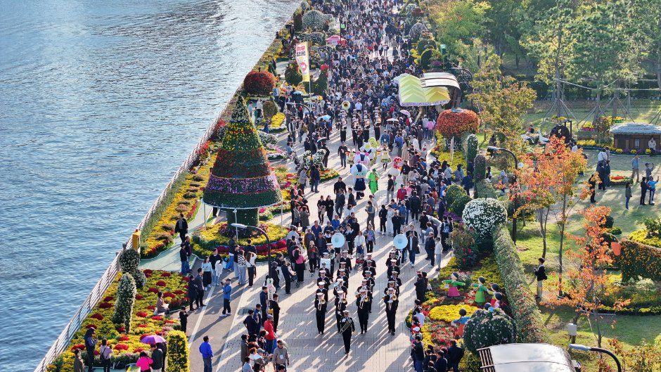 마산가고파국화축제 사진 8