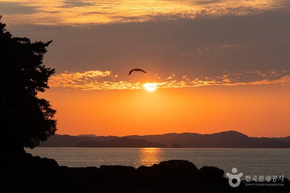 맨삽지(학성리 공룡발자국화석)