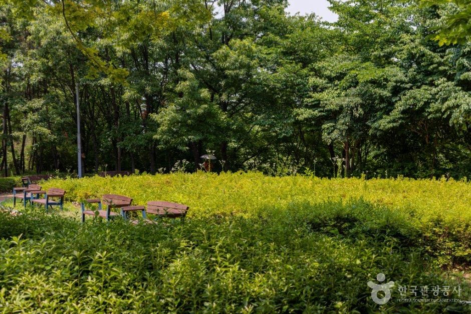 새아침공원