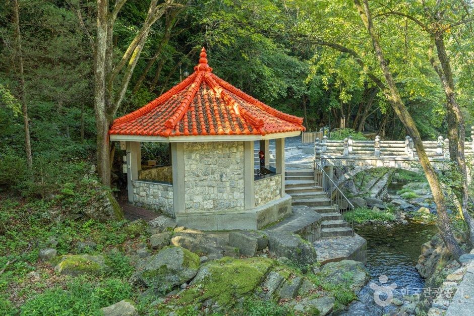 강원_정선군_화암약수 (강원고생대 국가지질공원) (1).jpg