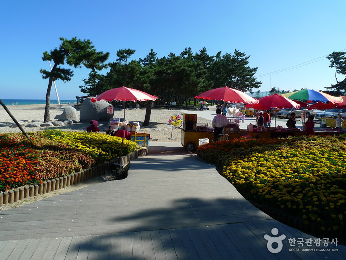 강릉 경포해변 강릉 경포해변