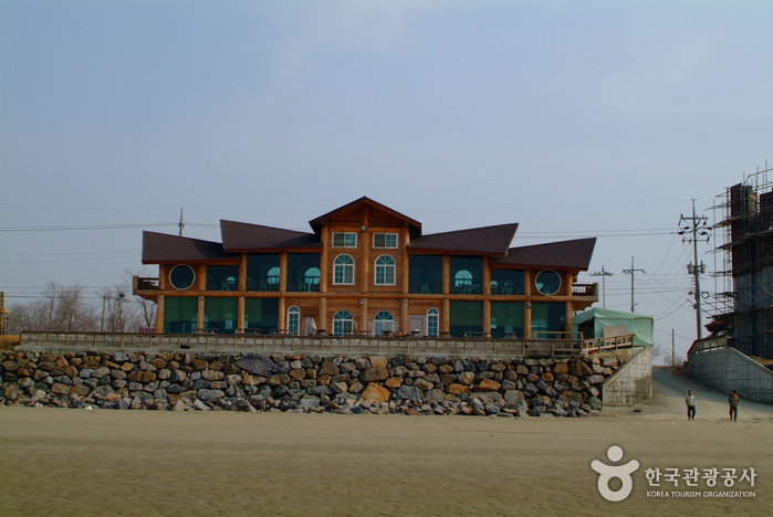 신두리해수욕장 신두리해수욕장