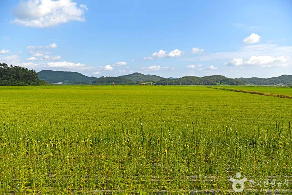 古泉岩湖(候鸟栖息地)