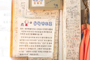 3401762 image3 1 예스키즈존 탐험대 : 실패 없는 육아여행