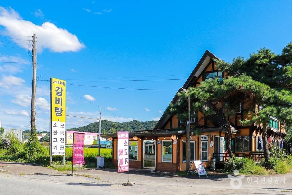松の木の家