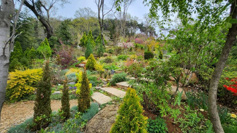 Painter's Garden Walk