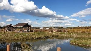 [시흥 늠내길 2코스] 갯골길