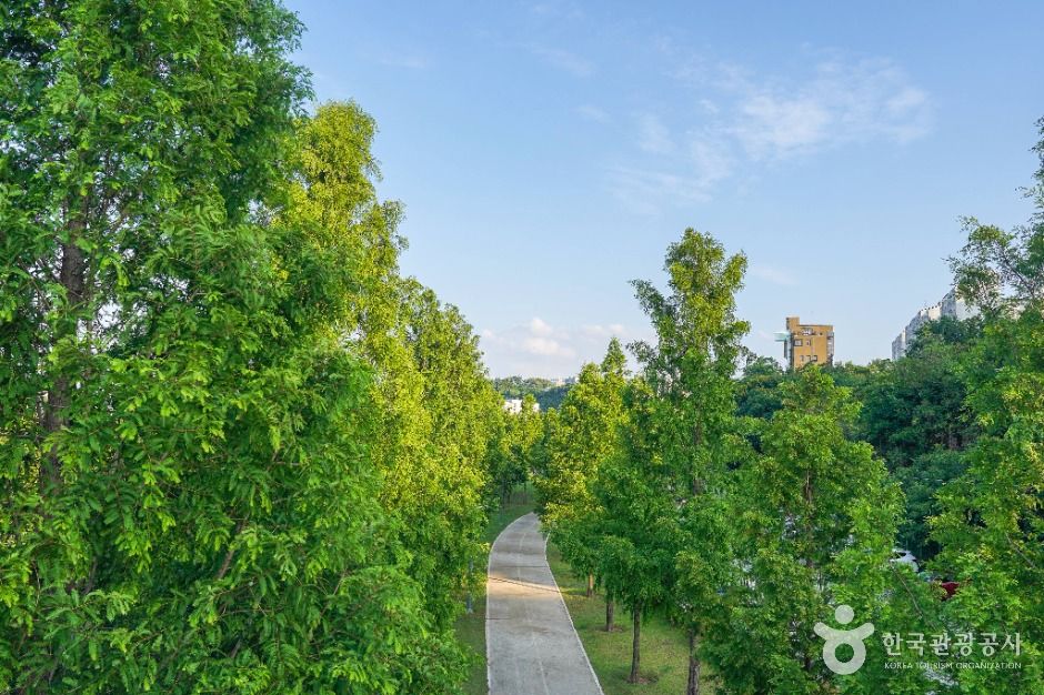 Gonghang-gyo Riverside Park