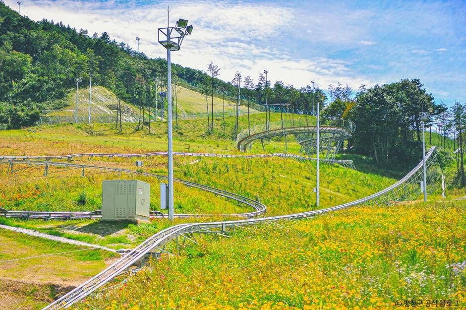 Alpensia Alpine Coaster