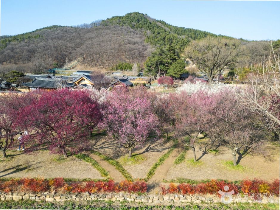 南平文氏本里世居地