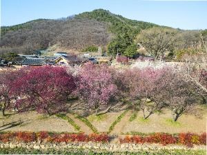 3572062 image3 1 예스키즈존 탐험대 : 실패 없는 육아여행