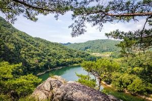 충청도양반길 2코스 사진 7