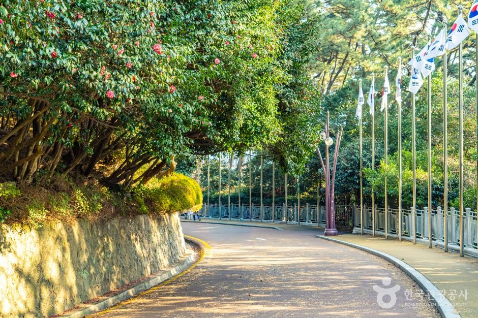 冬柏公園