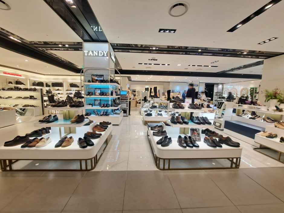 Tandy - Hyundai Department Store Sinchon Branch [Tax Refund Shop](탠디 현대백화점 신촌점)