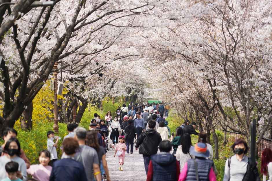トロットフェス×春の花祭り