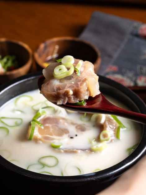 대전_소나무풍경 (10).jpg